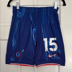 Nike Chelsea FC Blue Athletic Shorts